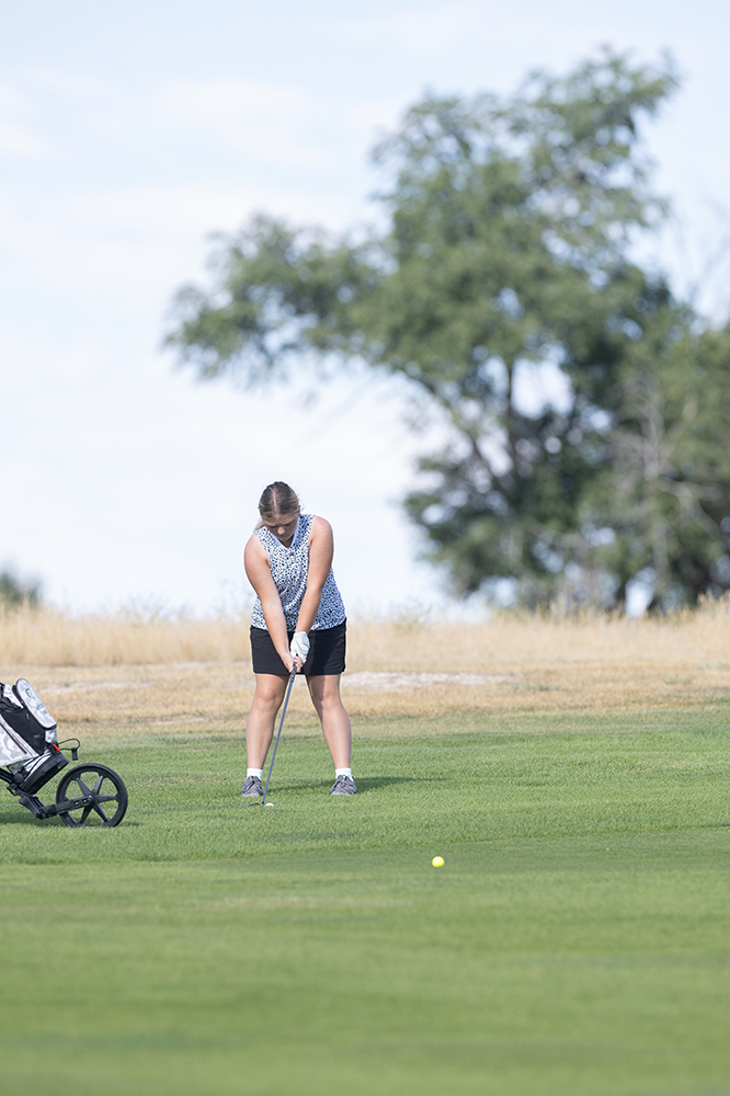 %_tempFileName1M6A0372%