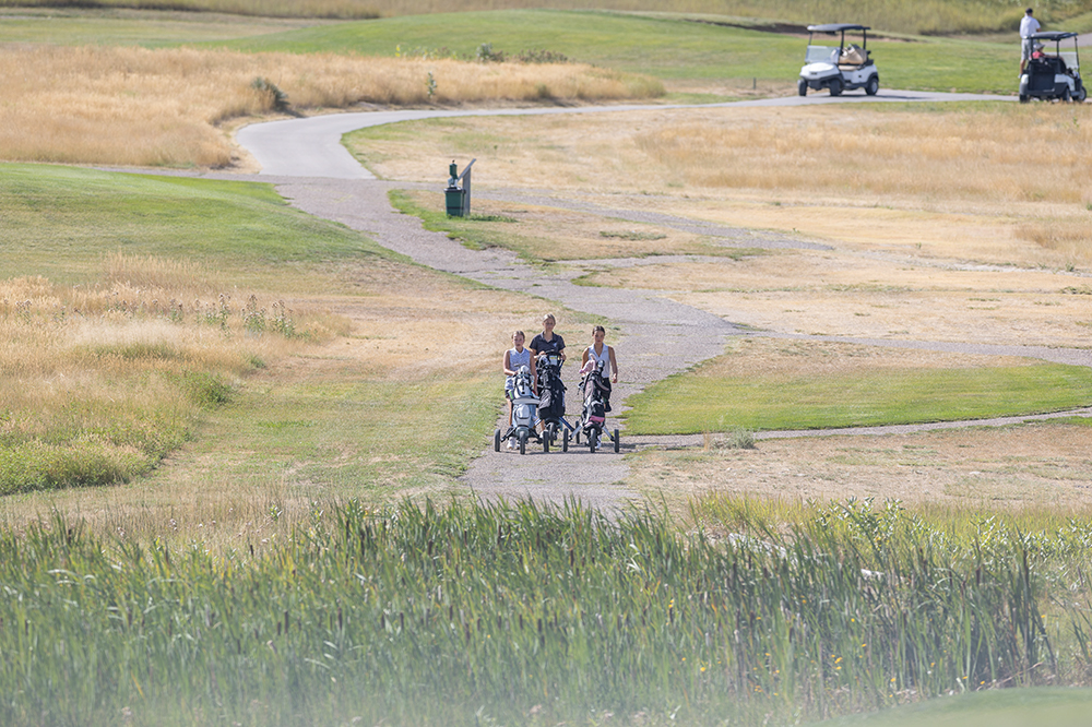 %_tempFileName1M6A0647%