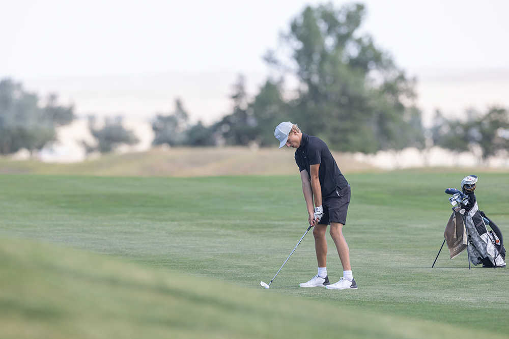 %_tempFileName1M6A1231%