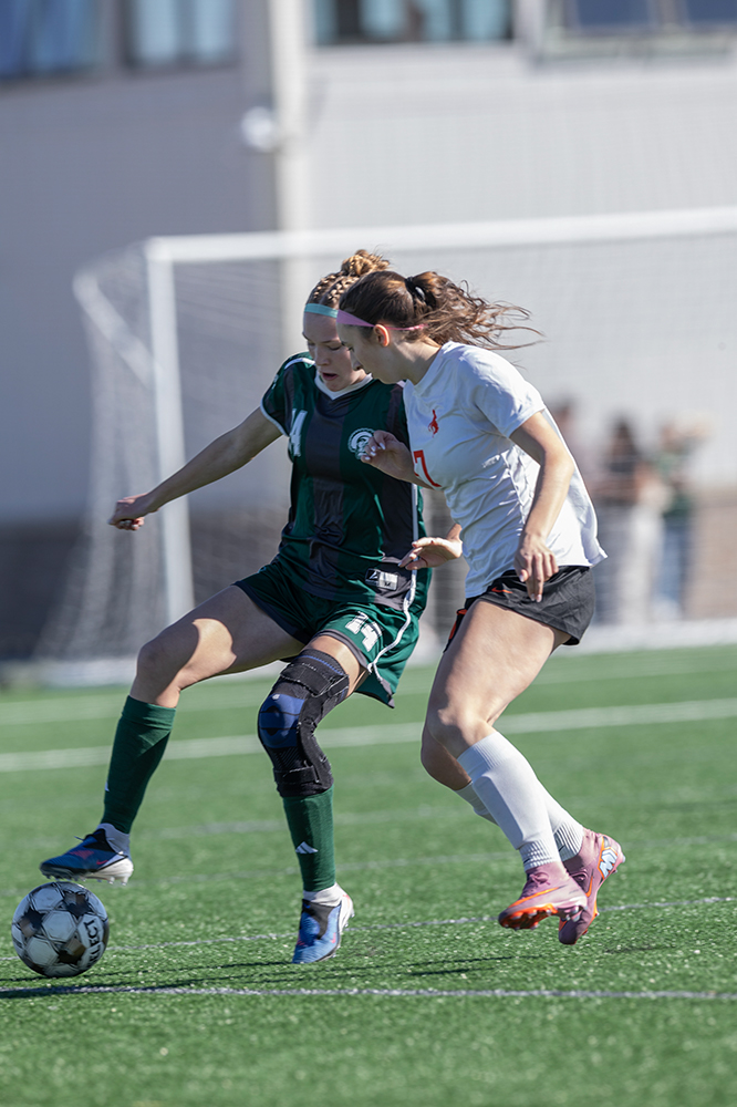 %_tempFileName1M6A3801%