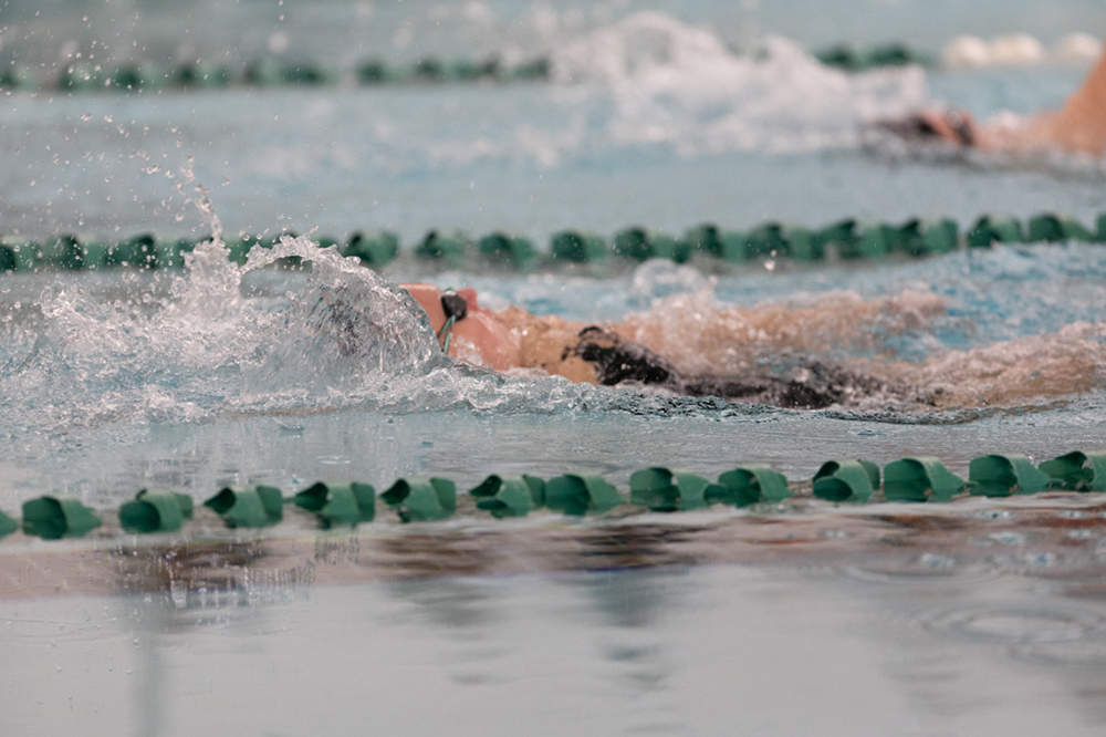 %_tempFileName1M6A8208%