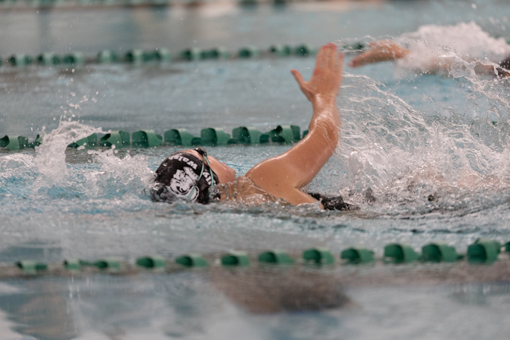 %_tempFileName1M6A8219%