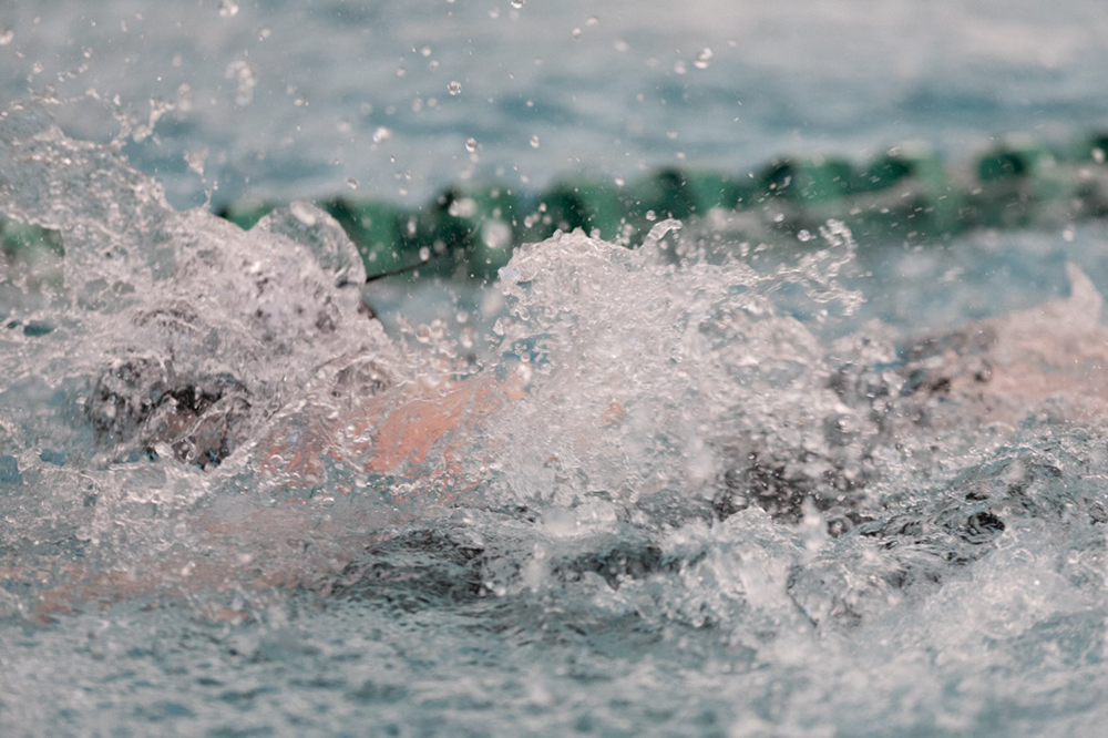 %_tempFileName1M6A8232%