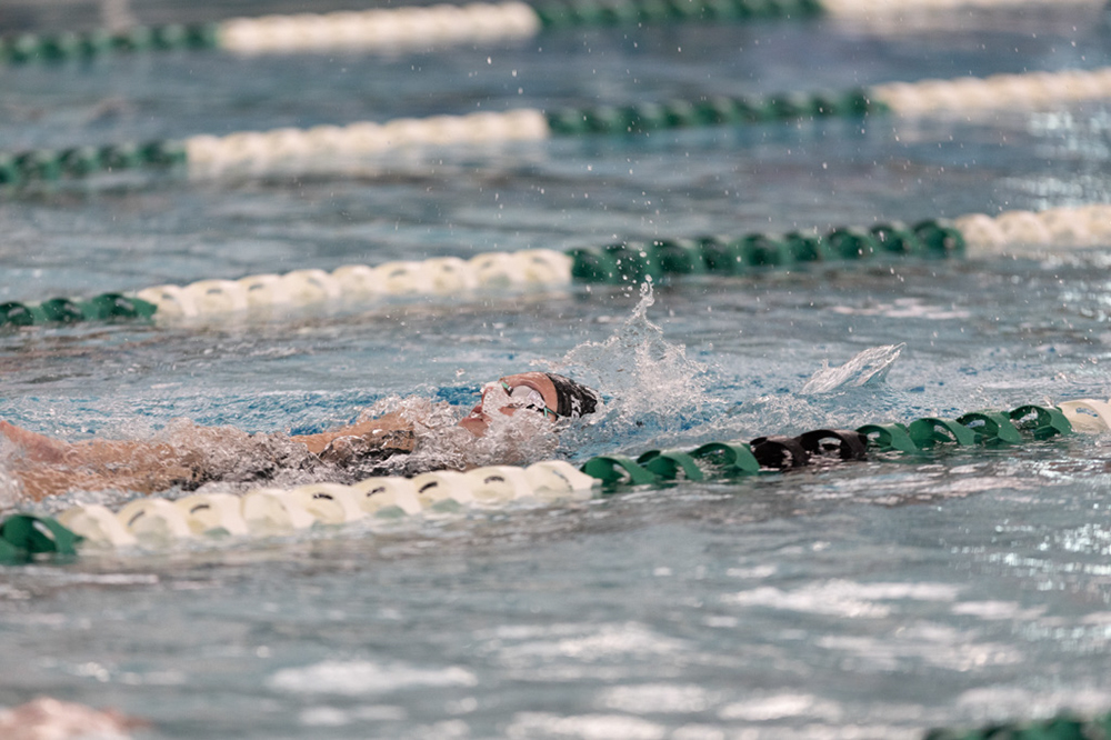 %_tempFileName1M6A8236%