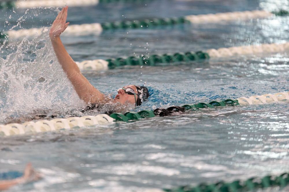 %_tempFileName1M6A8239%