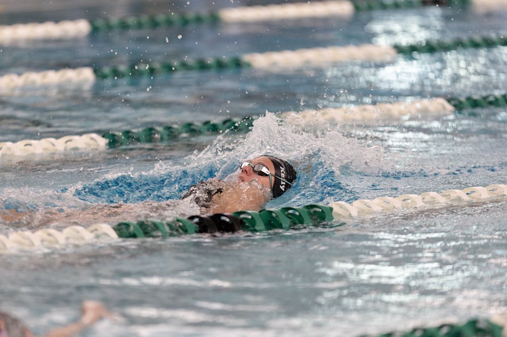 %_tempFileName1M6A8242%