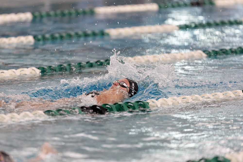 %_tempFileName1M6A8243%