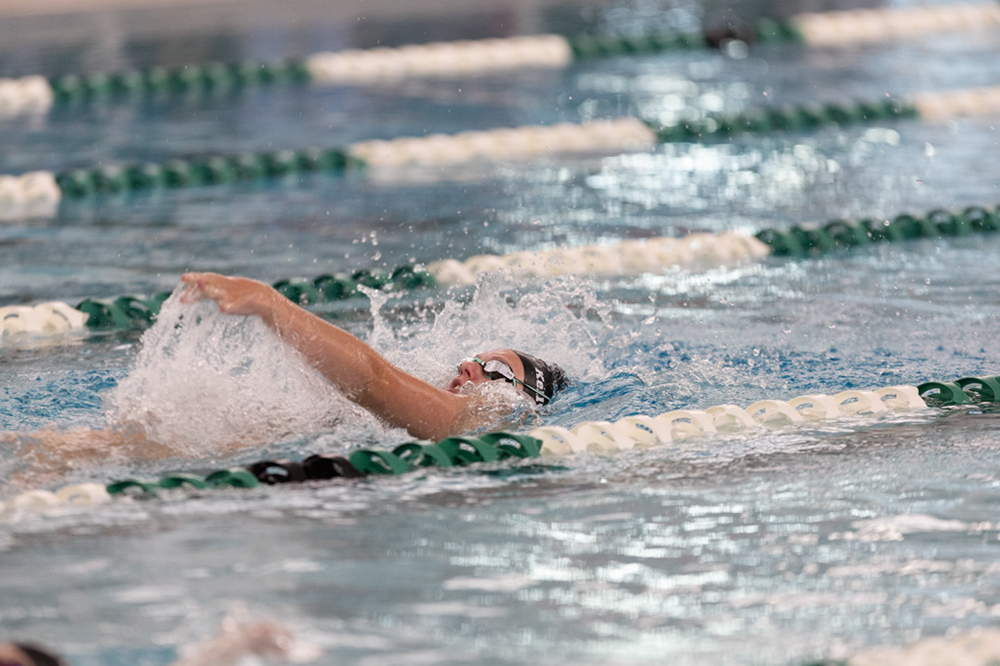 %_tempFileName1M6A8245%