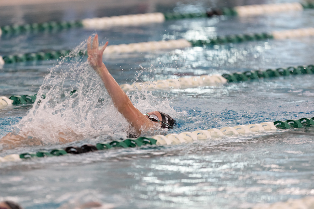 %_tempFileName1M6A8246%