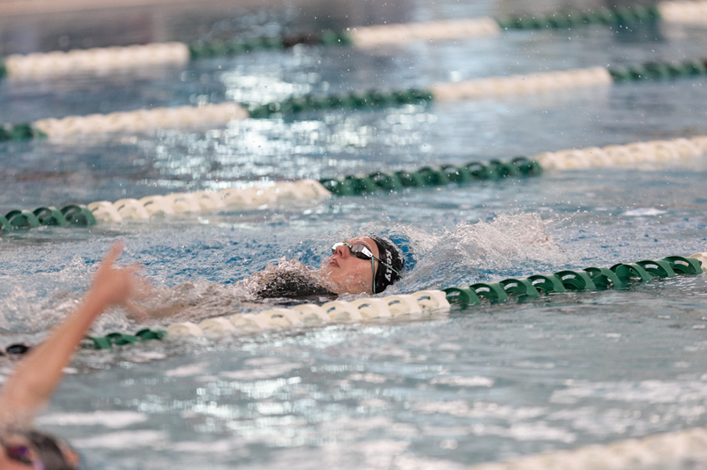 %_tempFileName1M6A8253%