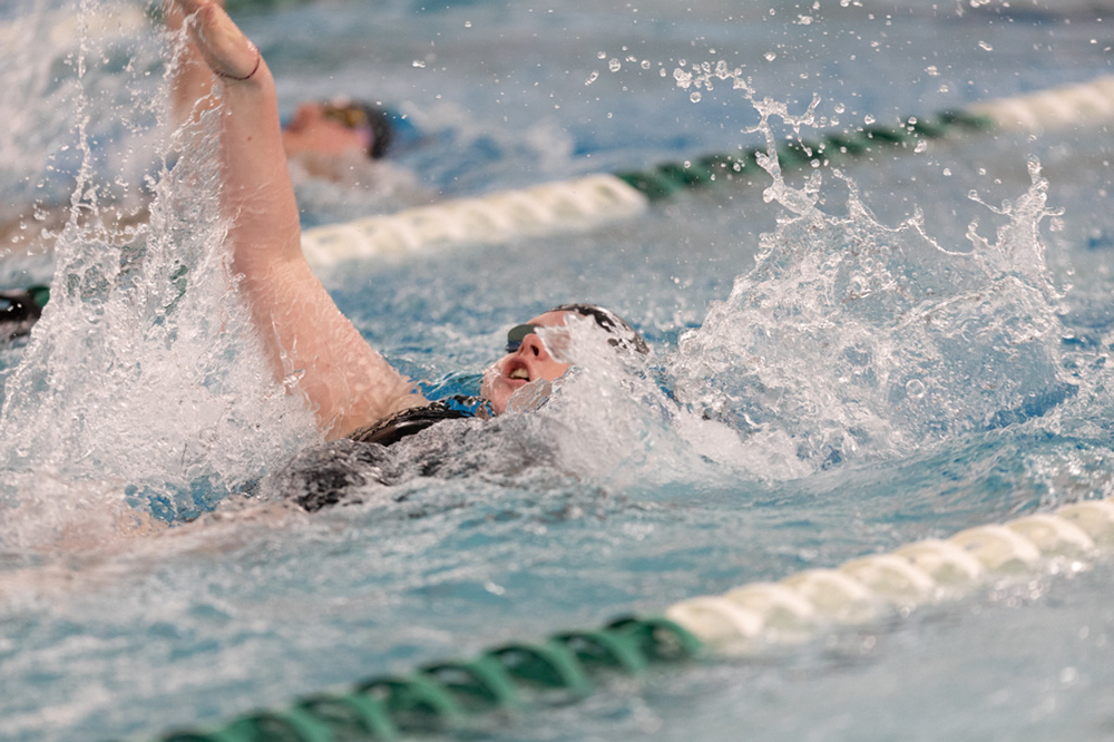 %_tempFileName1M6A8262%