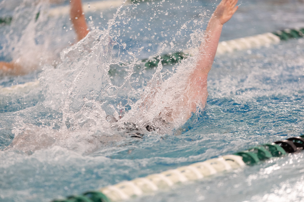 %_tempFileName1M6A8272%