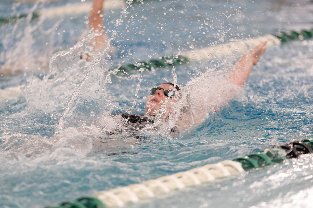 %_tempFileName1M6A8273%