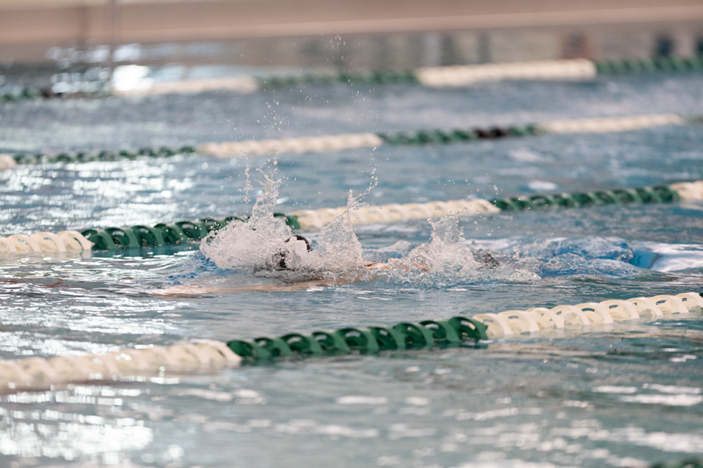 %_tempFileName1M6A8287%