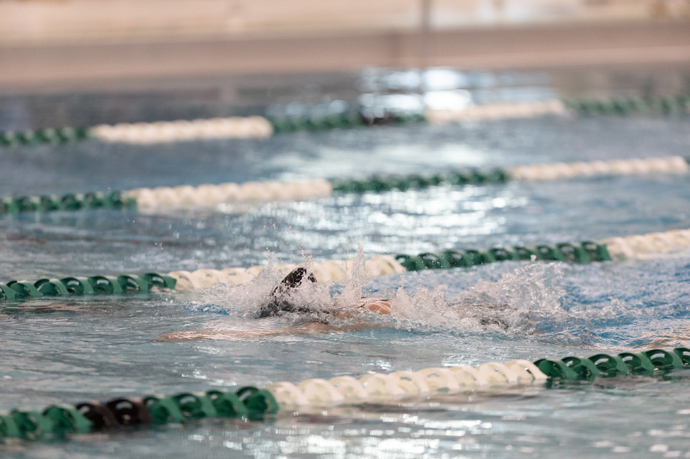 %_tempFileName1M6A8292%