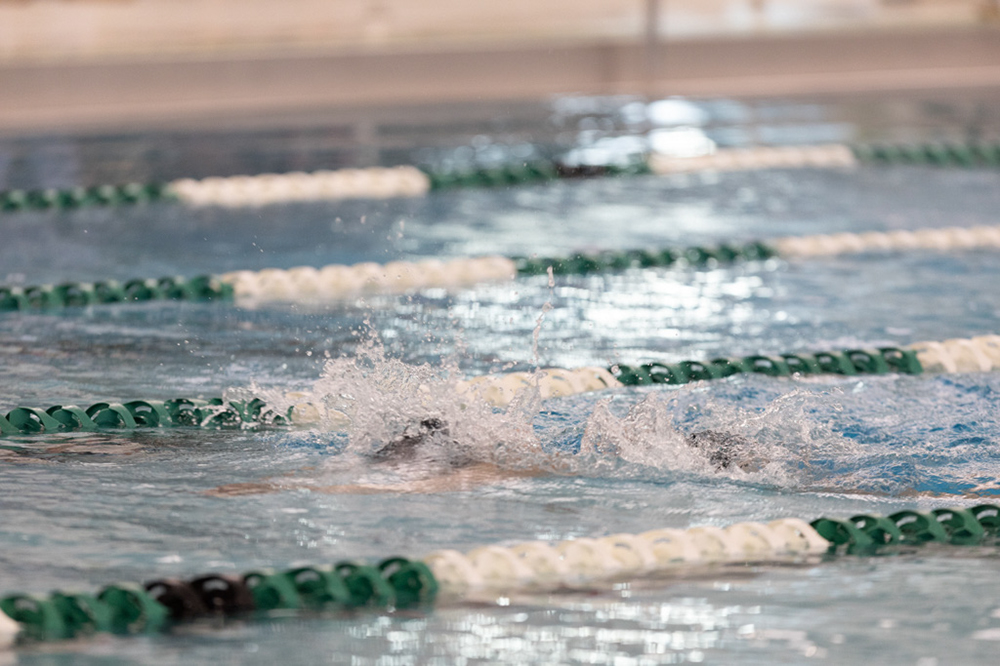 %_tempFileName1M6A8293%