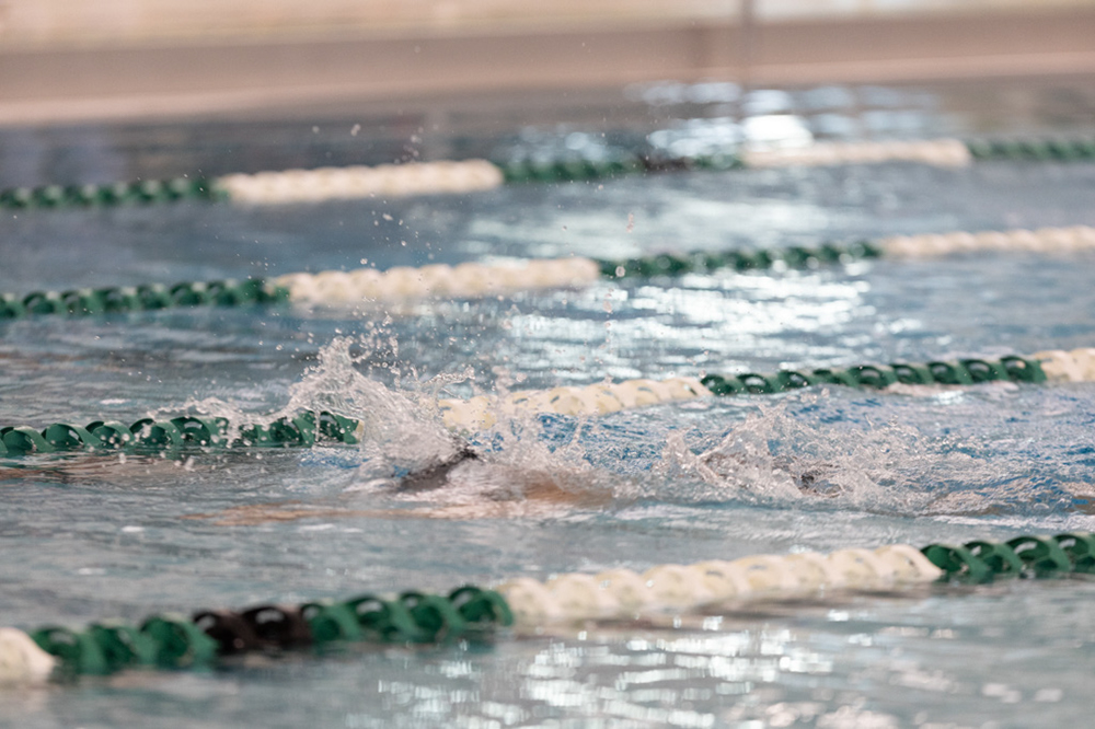 %_tempFileName1M6A8294%