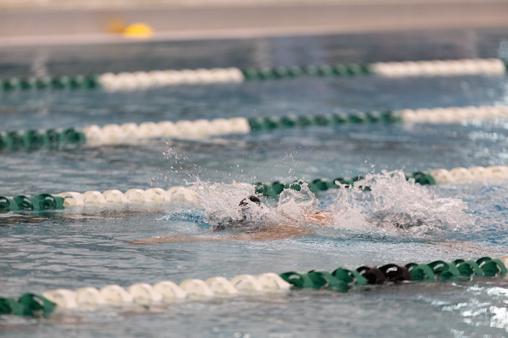 %_tempFileName1M6A8300%