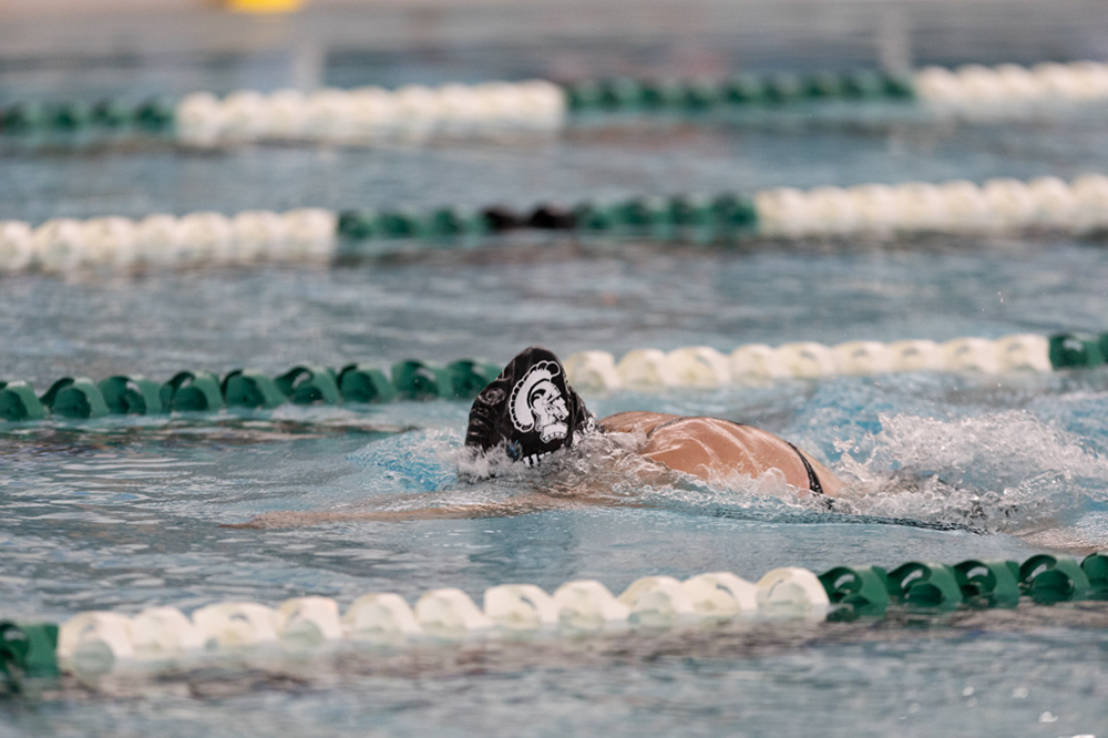 %_tempFileName1M6A8311%