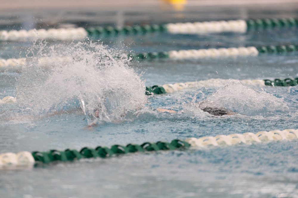 %_tempFileName1M6A8312%