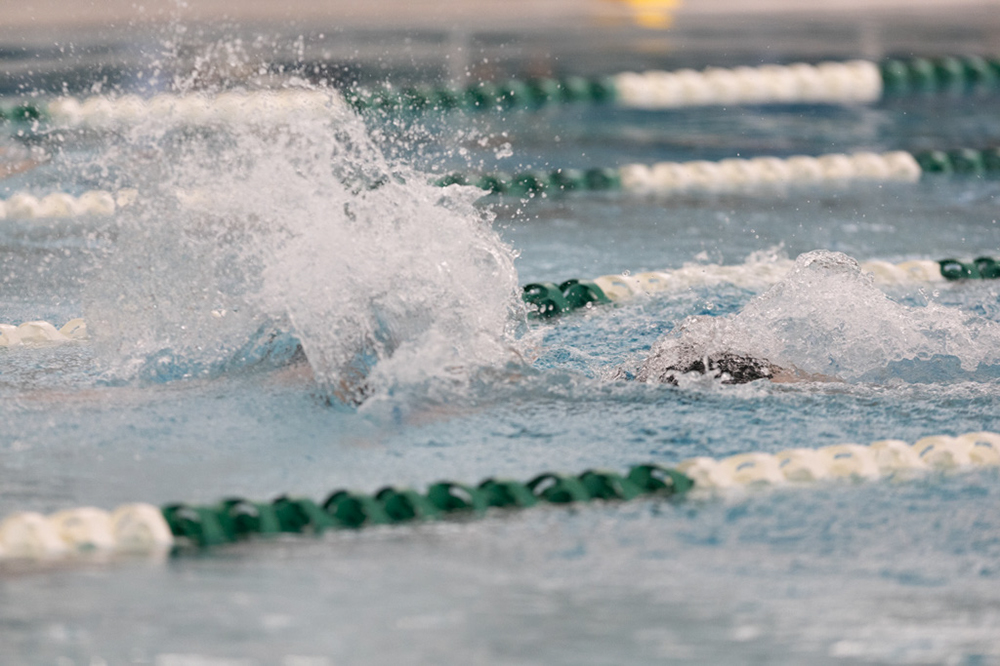 %_tempFileName1M6A8313%