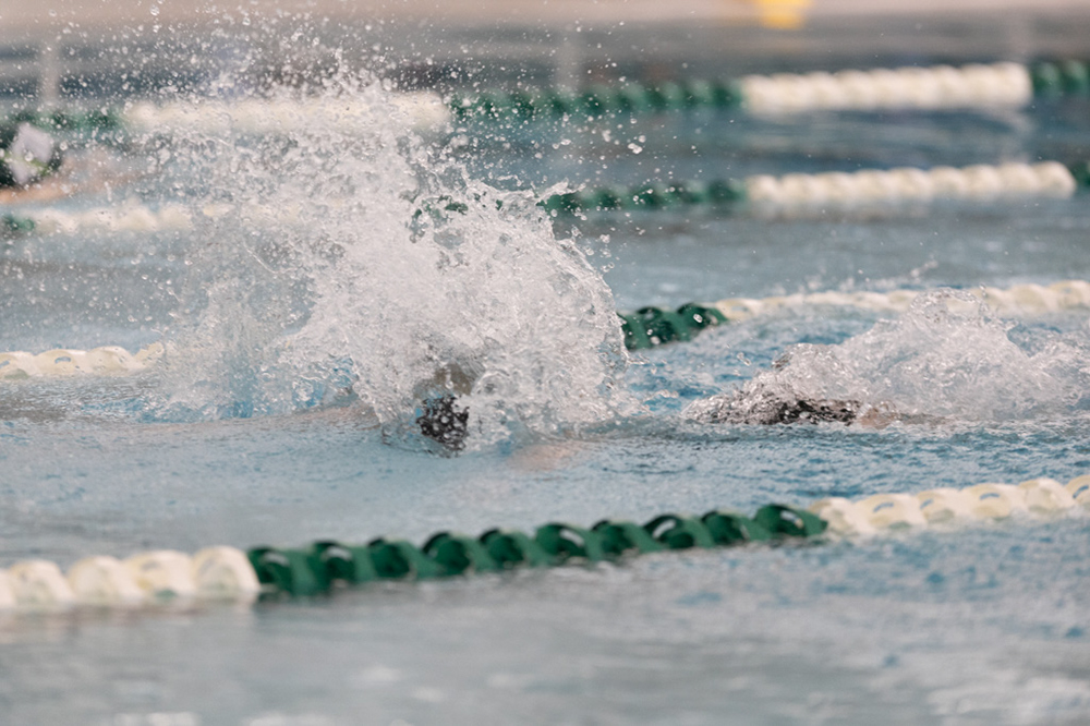 %_tempFileName1M6A8314%