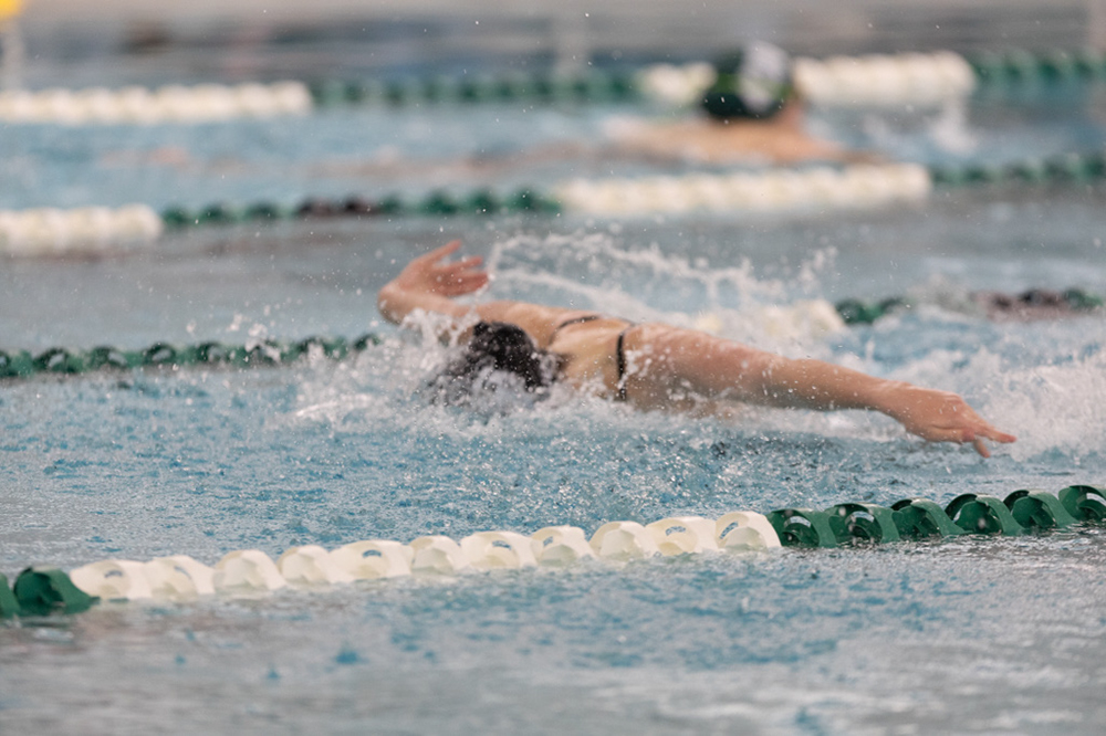 %_tempFileName1M6A8317%