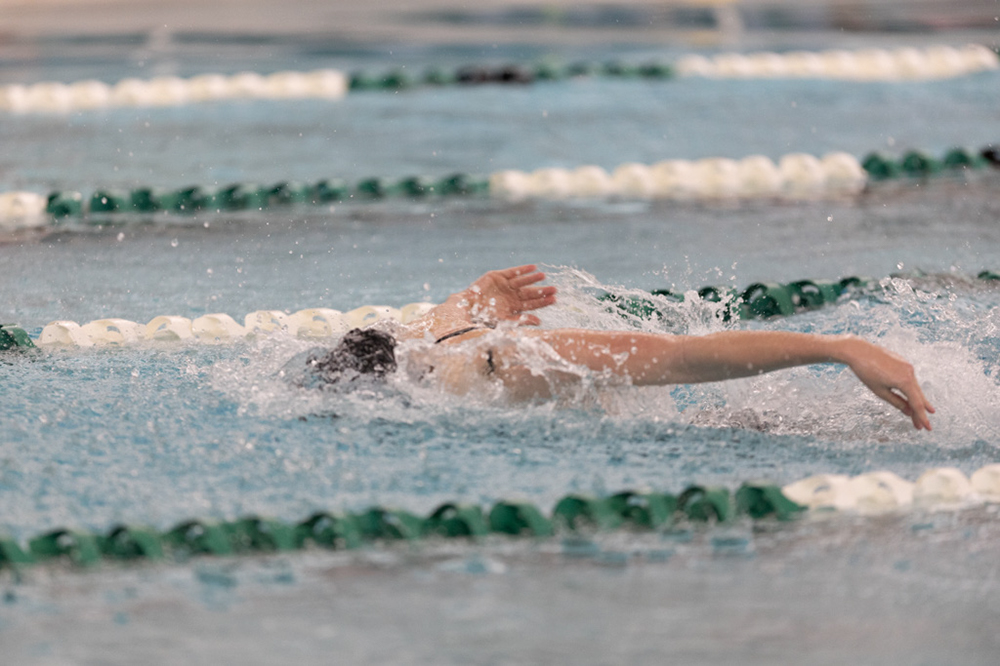 %_tempFileName1M6A8319%