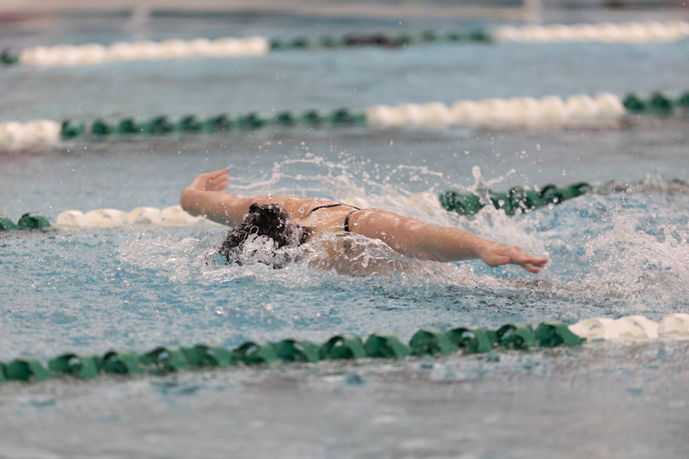 %_tempFileName1M6A8320%