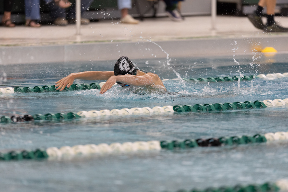 %_tempFileName1M6A8333%