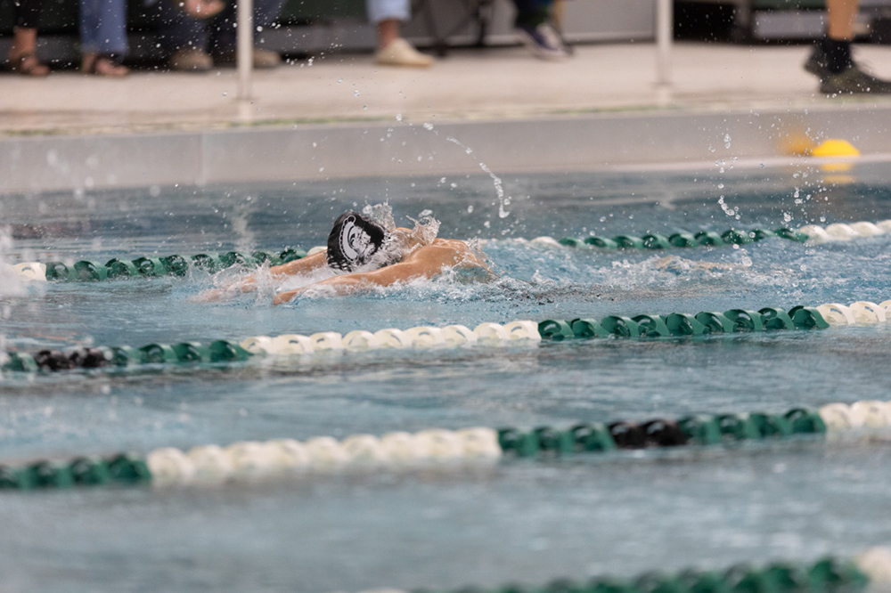 %_tempFileName1M6A8334%