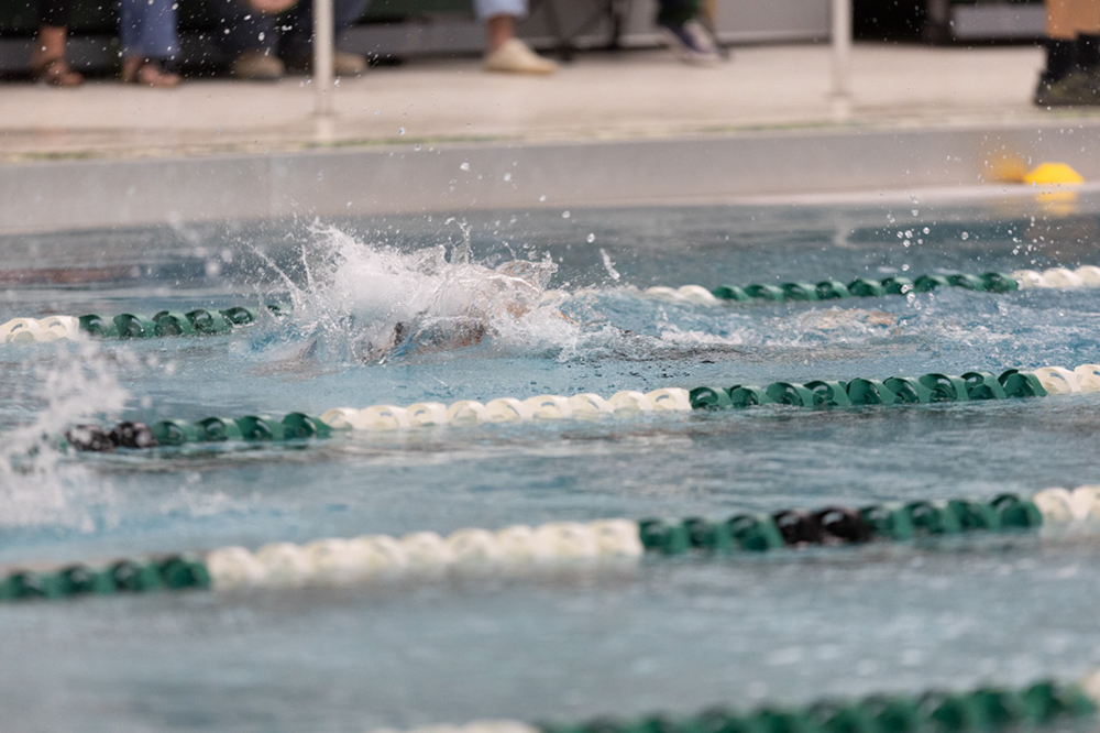 %_tempFileName1M6A8335%