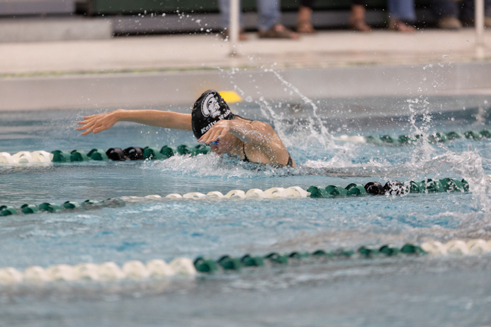 %_tempFileName1M6A8337%