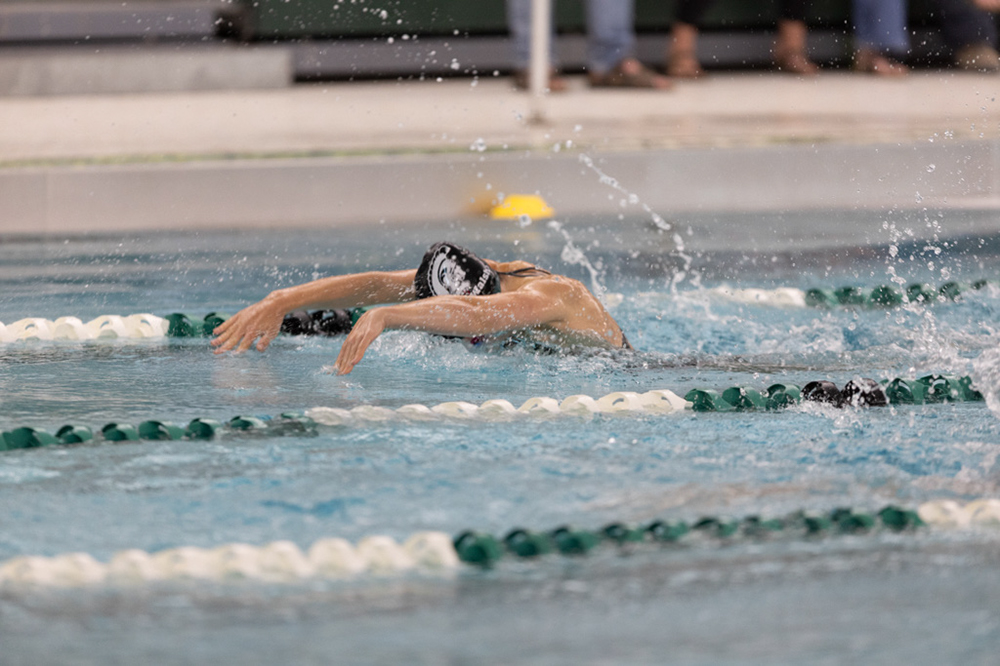 %_tempFileName1M6A8338%