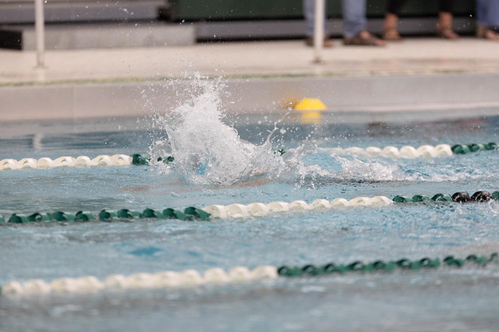 %_tempFileName1M6A8341%