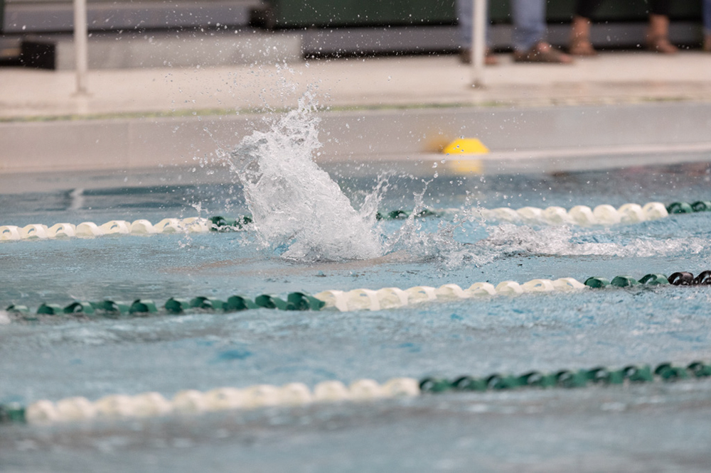 %_tempFileName1M6A8342%