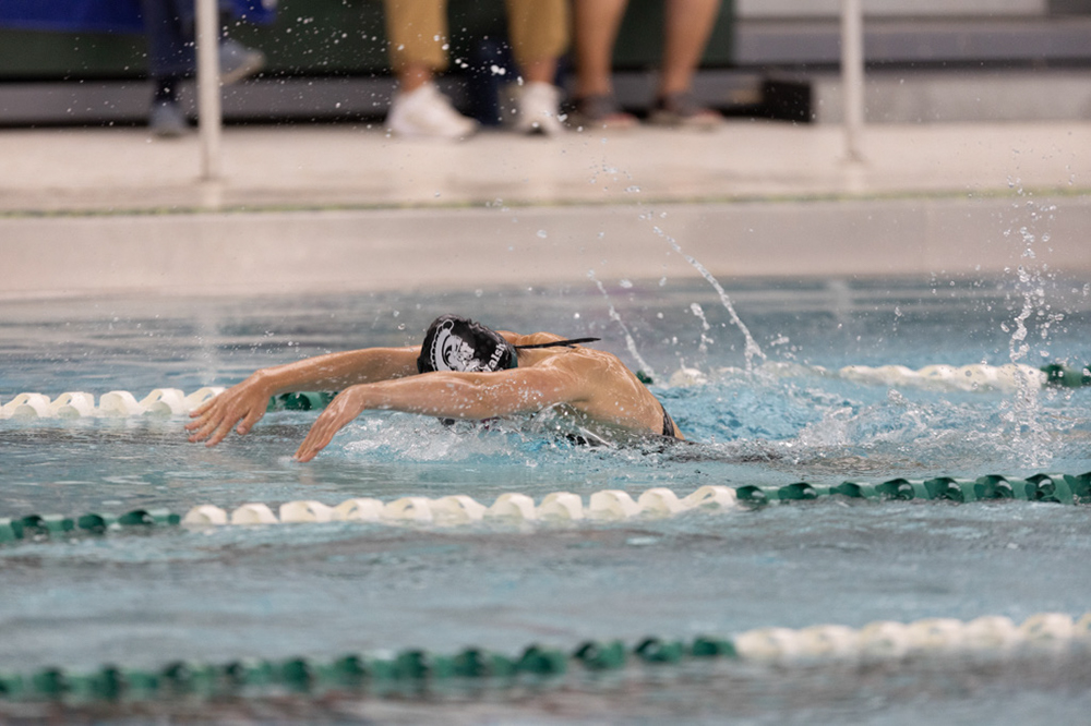 %_tempFileName1M6A8349%