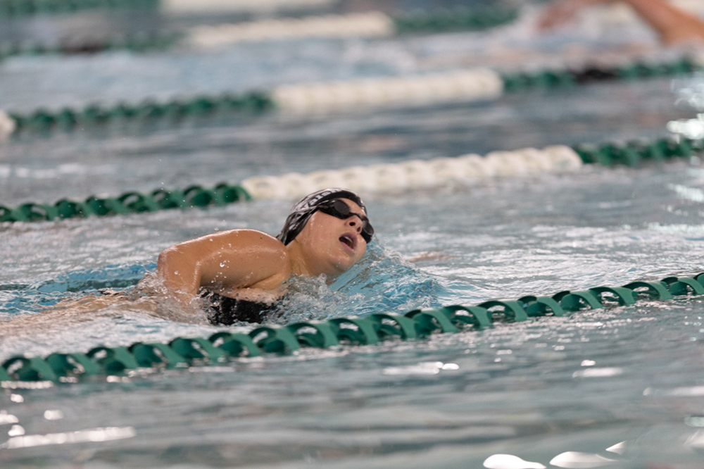 %_tempFileName1M6A8353%