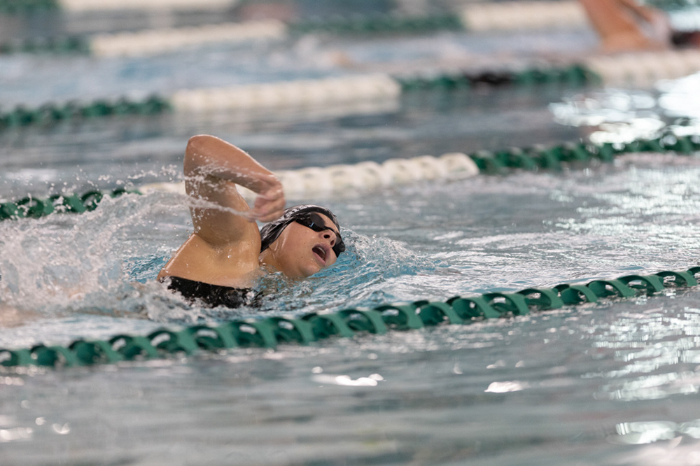 %_tempFileName1M6A8356%