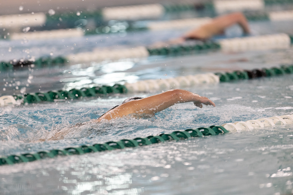 %_tempFileName1M6A8363%