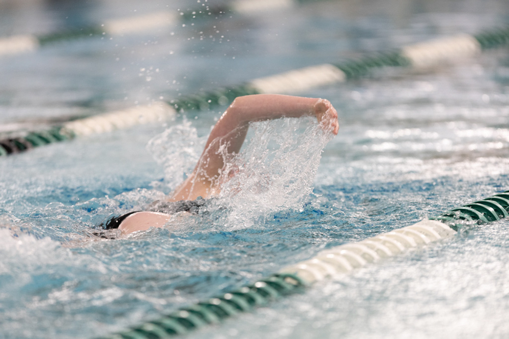 %_tempFileName1M6A8364%