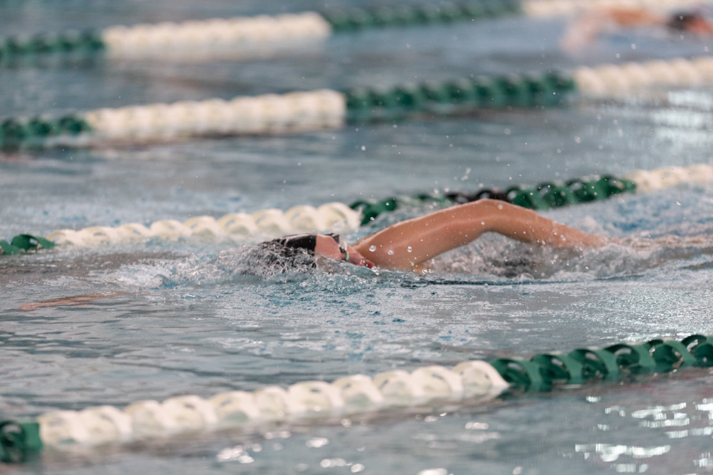 %_tempFileName1M6A8367%