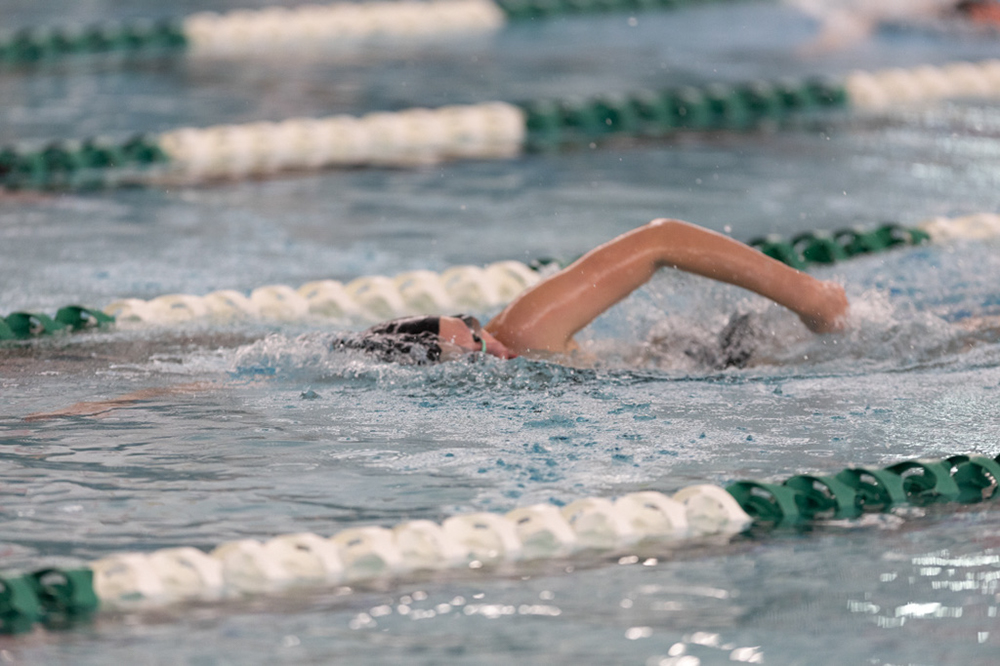 %_tempFileName1M6A8368%