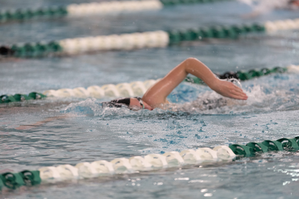 %_tempFileName1M6A8369%