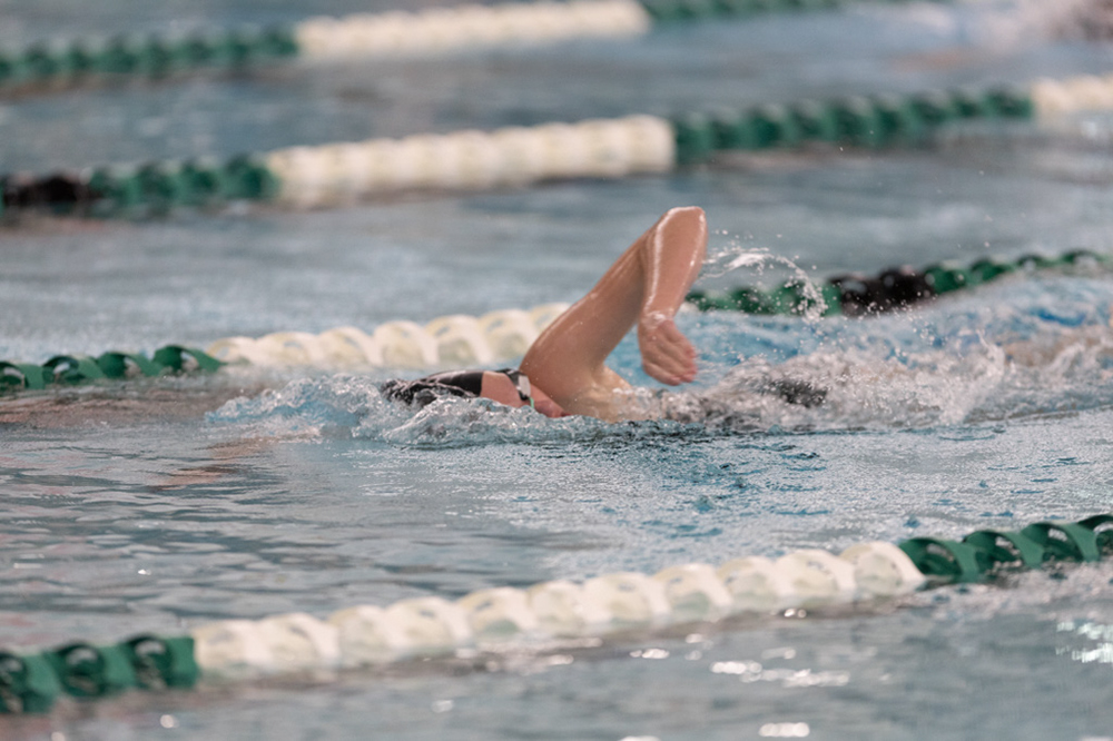 %_tempFileName1M6A8370%