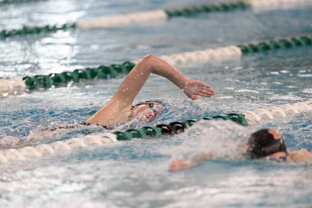 %_tempFileName1M6A8385%