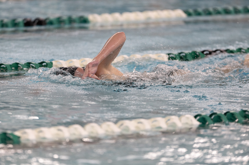 %_tempFileName1M6A8401%