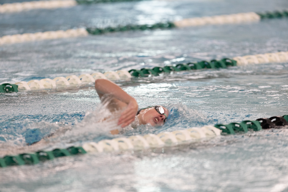 %_tempFileName1M6A8408%