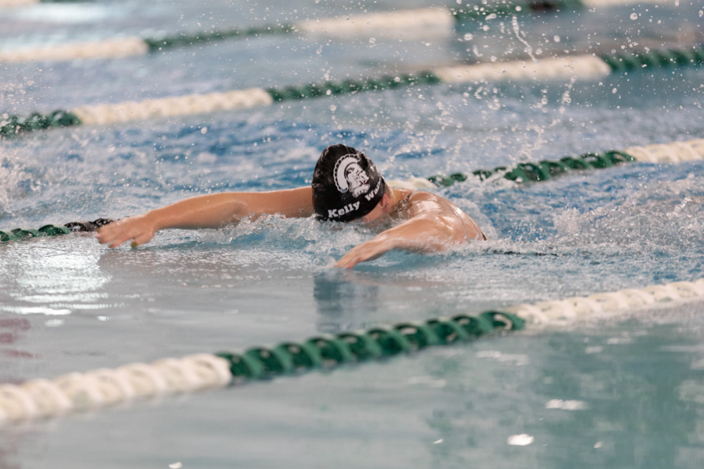 %_tempFileName1M6A8416%