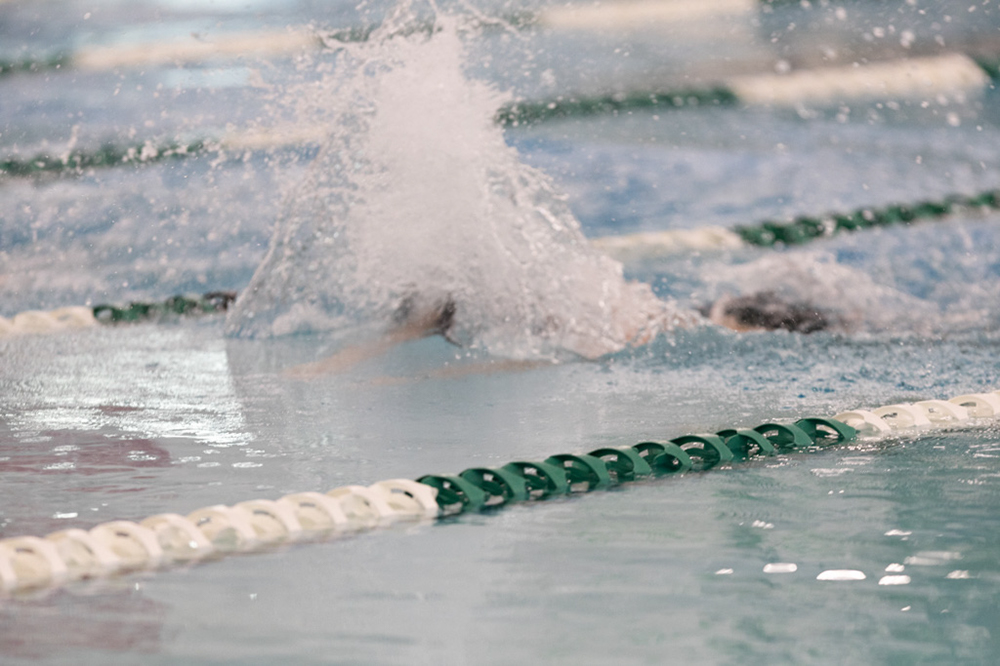 %_tempFileName1M6A8419%